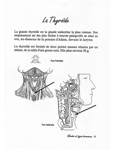 Hormones et Energie  cours tome6