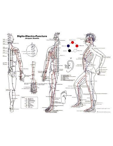 Kit formation digitopuncture santé et beauté