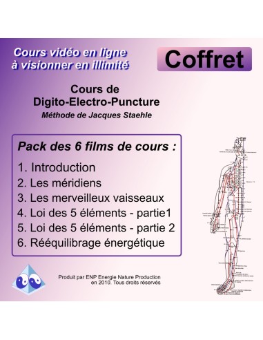 Kit formation digitopuncture santé et beauté