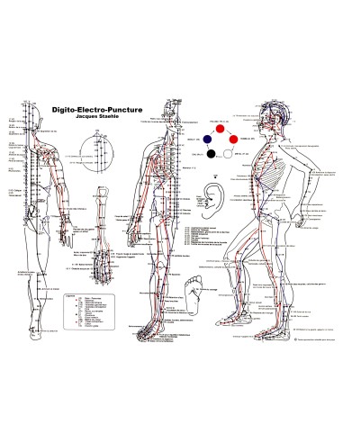 Poster carte des points digitopuncture