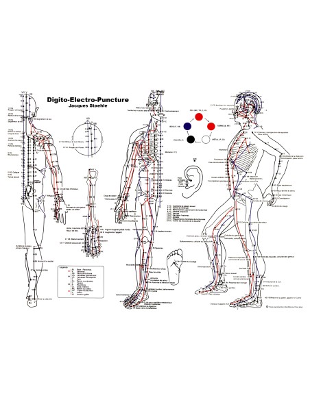 Poster carte des points digitopuncture Poster carte des points digitopuncture