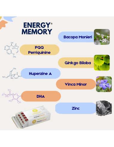 Complément alimentaire Mémoire Energy Memory Level gélules composition