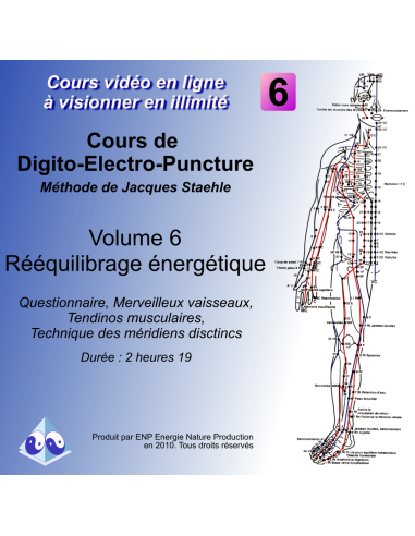 Cours vidéo digitopuncture vol6 : bilan, rééquilibrage, tendino-musculaires et méridiens distincts