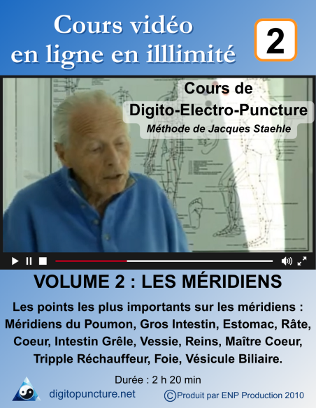 Cours vidéo digitopuncture vol 2 : les méridiens