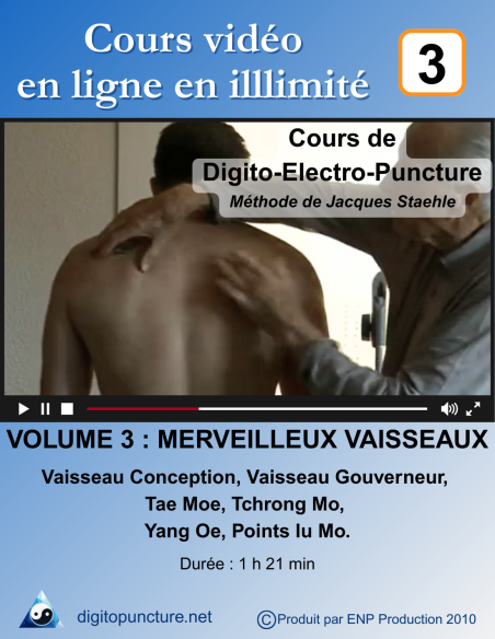 Cours vidéo digitopuncture vol 3: les merveilleux vaisseaux Cours vidéo digitopuncture vol 3: les merveilleux vaisseaux