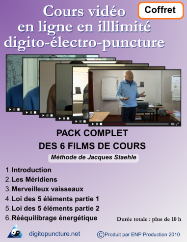 Pack complet de formation de 6 vidéos de cours d'élecropuncture