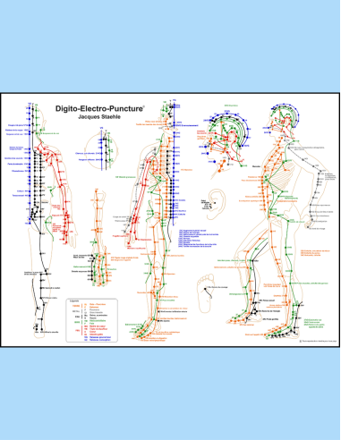 Affiche carte des points et des méridiens de digitopuncture