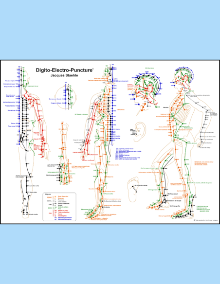 Affiche carte des points et des méridiens de digitopuncture Affiche carte des points et des méridiens de digitopuncture