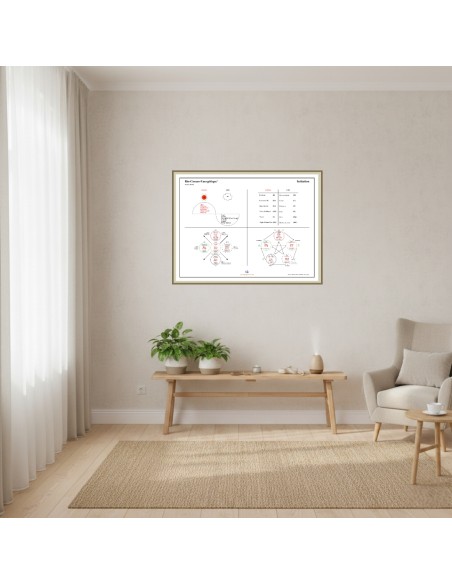 Situation dans un cabinet du poster Bio-Cosmo-Énergétique Jacques Staehle