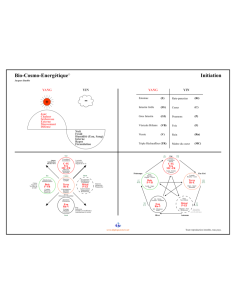 Poster Bio-Cosmo-Énergétique Initiation Jacques Staehle - 60x80cm