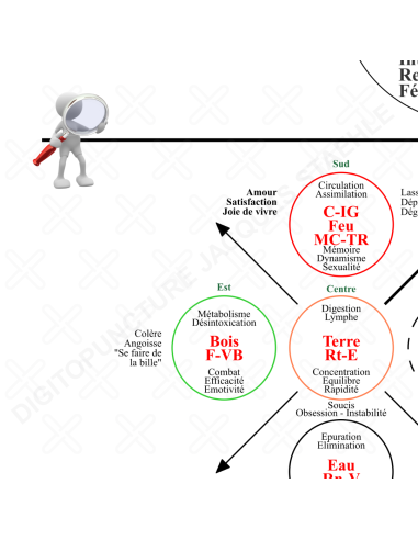 Zoom sur le poster Bio-Cosmo-énergétique Initiation