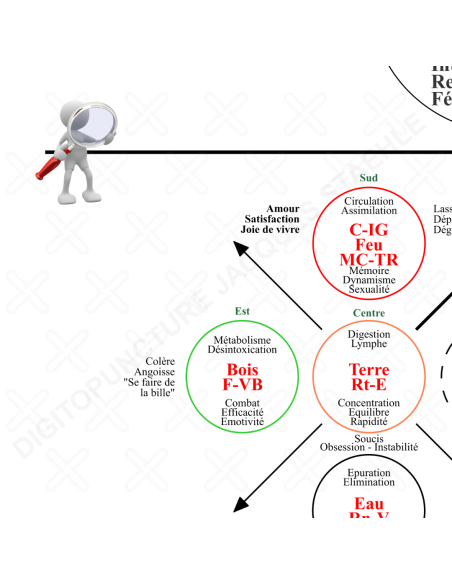 Zoom sur le poster Bio-Cosmo-énergétique Initiation