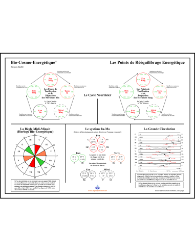 Poster Points de Rééquilibrage Énergétique Jacques Staehle - 60x80cm