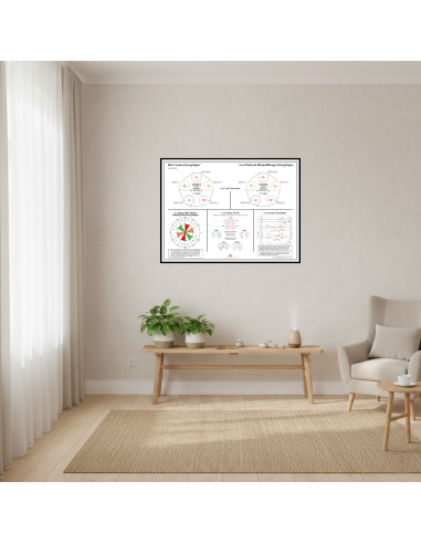 poster affiché au mur de l'affiche bio-cosmo-énergétique rééquilibrage