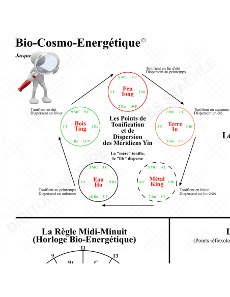 Zoom poster bio-cosmo-énergétique rééquilibrage des méridiens