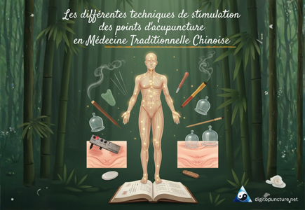 Les différentes techniques de stimulation des points d'acupuncture en Médecine Traditionnelle Chinoise